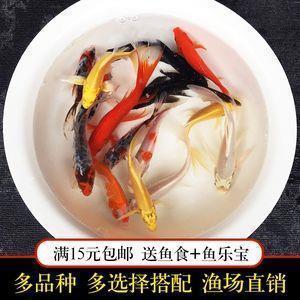 在科技的后时代，唯思使人立足