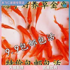 图书之旅