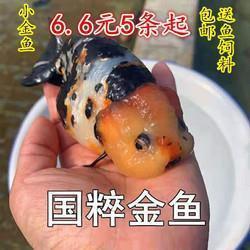 梅