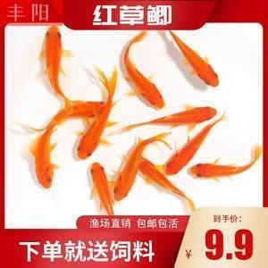 实现蓝梦（4）