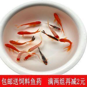 感受寂寞