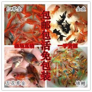 勿忘国耻，吾辈当自强
