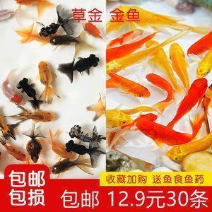 “圆”的联想