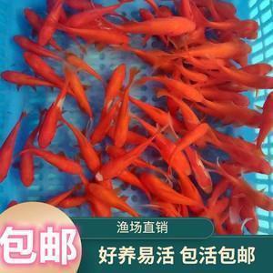 我心宁静自超然