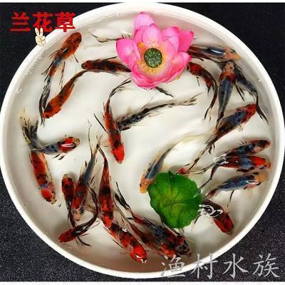 假如世上没有了水