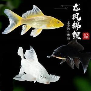 牙慧略拾（三则）