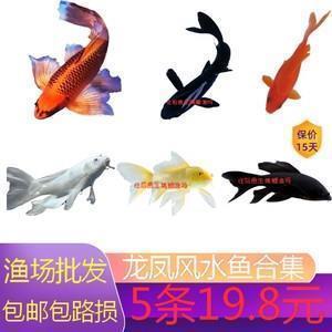 我学会了读书