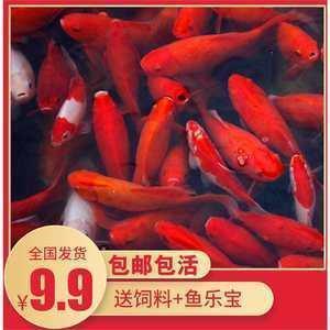 儿童节特殊的收获