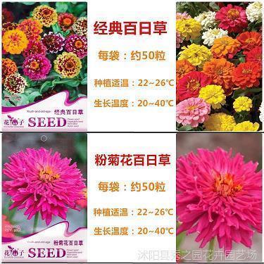 相濡以沫的鱼
