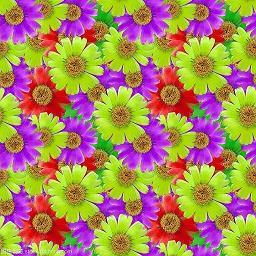 总有我的季节