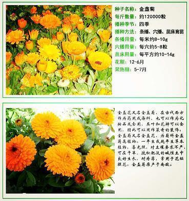 爱的圆圈