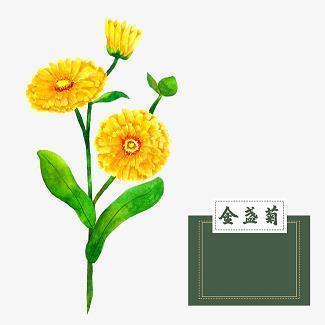 开学所感