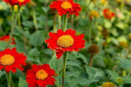 传统节日何去何从