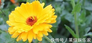 感动