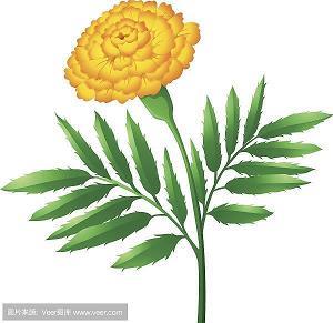 雨一直下