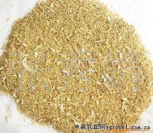 总有离开的时候