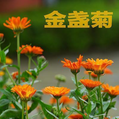 关注水源质量 呼唤健康生活