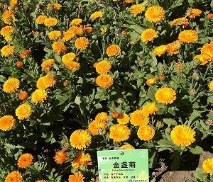 友情无价