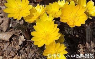 一个人的舞蹈