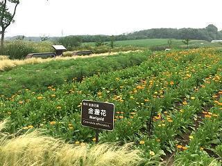 悲伤，我们同行