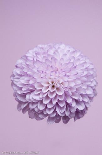 记忆中的木梯