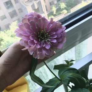 听雨