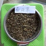 我的狗狗，在天堂要开心
