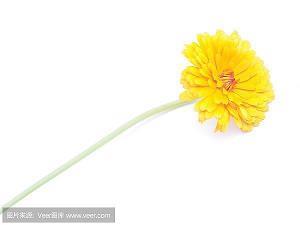 一点一点地改变
