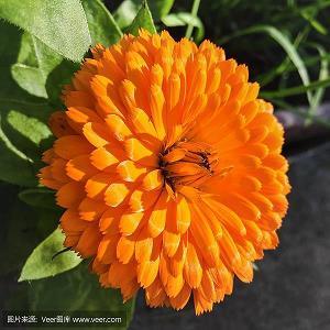 公德比赛