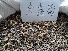 芭蕾舞的旋律（节选）