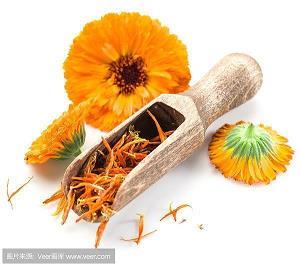 亲切的桂花树
