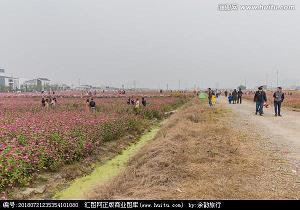 扎根于文明的土壤
