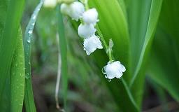 节俭——时代的呼唤