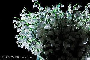 09—感恩