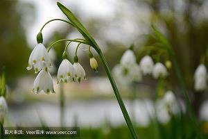 毕业一年