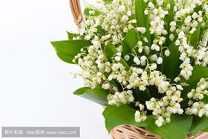 夏日的阳光，很暖