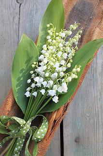 我家的节日