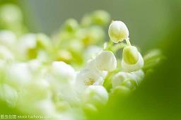 你的脑袋有虫吗