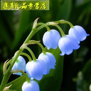 观《肖申克救赎》有感