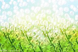 刀和锯_初中生作文,初一作文_冯林先完美作文