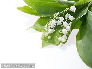 书香之缘