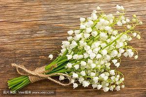 天才少女的生活（第九章）