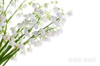 大课间活动的启示