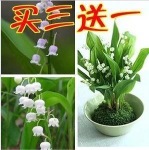 低碳是种态度