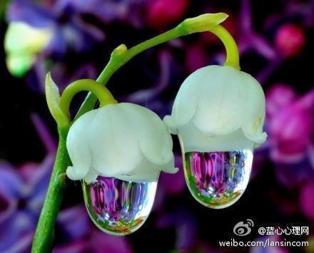 家有购物狂的N种灾难