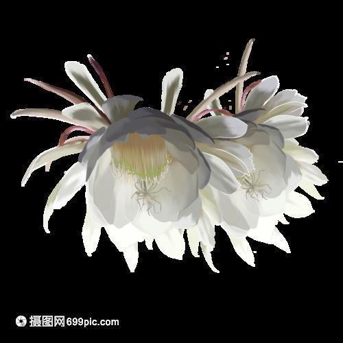 2021难忘的春节六年级作文