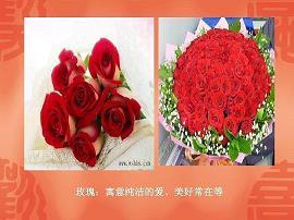 “不听话”的我