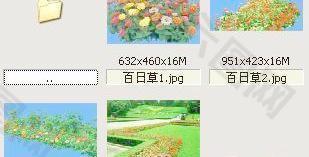 人生的面对