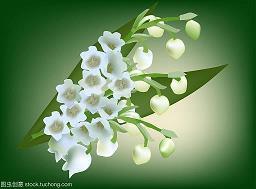 那悲伤的季节