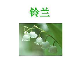 幸福靠自己